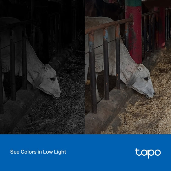 TP-Link Tapo C320WS 2K QHD Outdoor Security Wi-Fi Camera